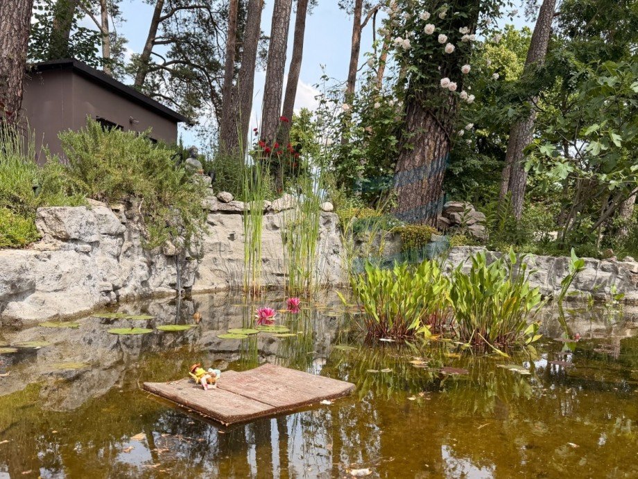 Garten Einfamilienhaus Falkensee