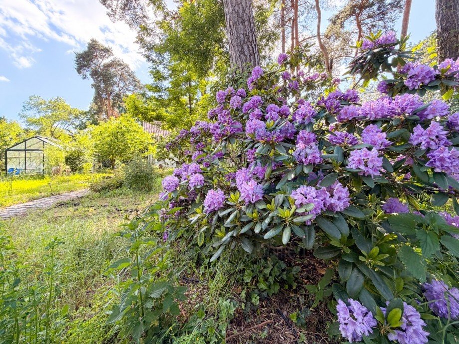 Garten Einfamilienhaus Falkensee