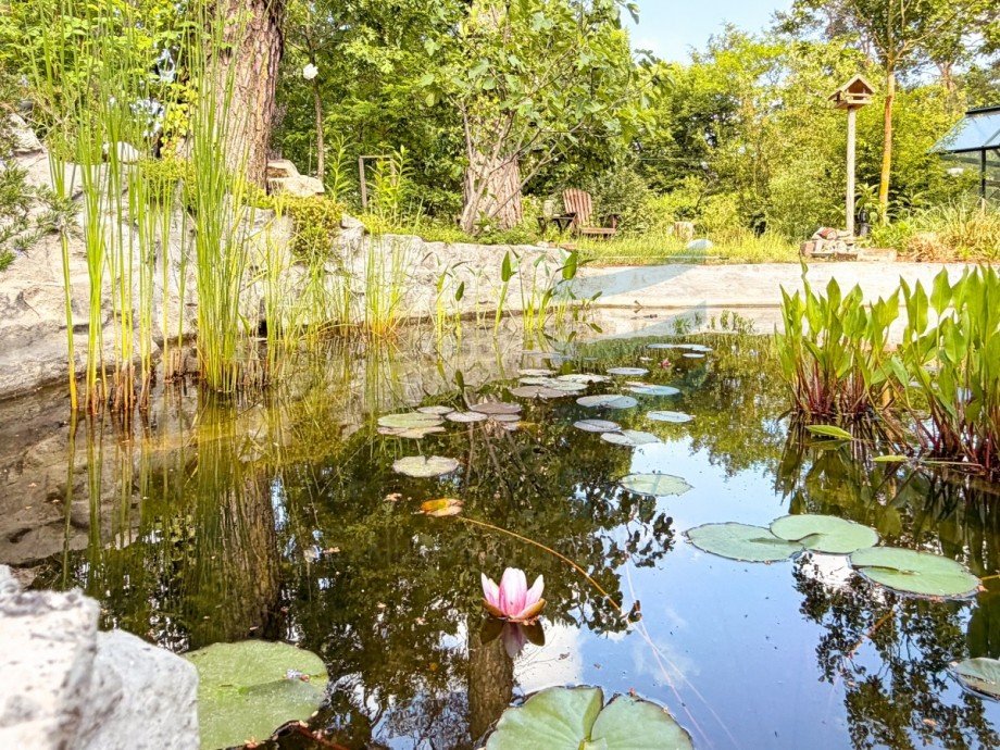 Gartenteich Einfamilienhaus Falkensee