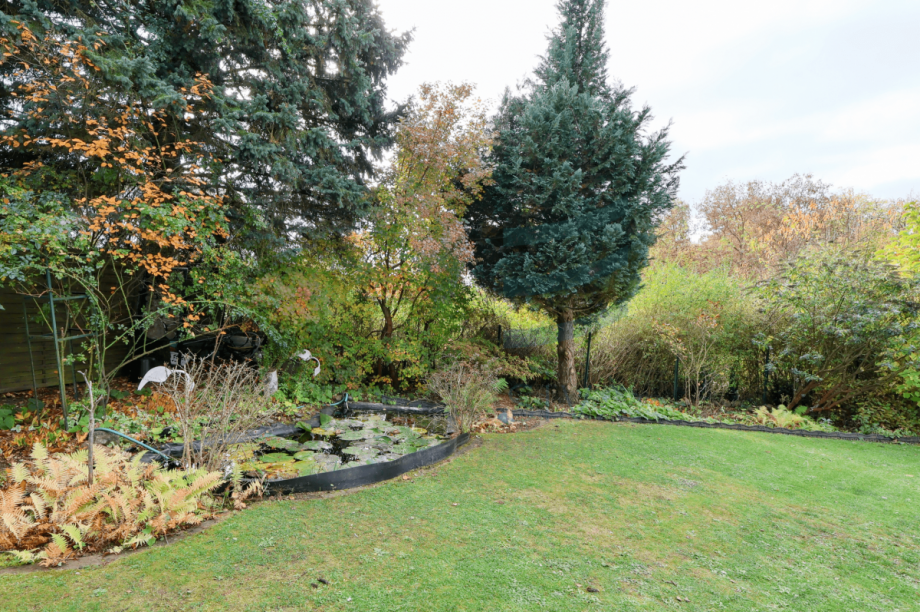 Garten und Teich Bungalow Sch�nwalde-Glien