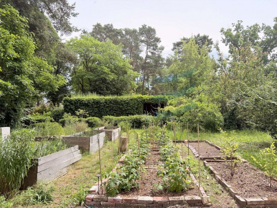 Garten Einfamilienhaus Falkensee