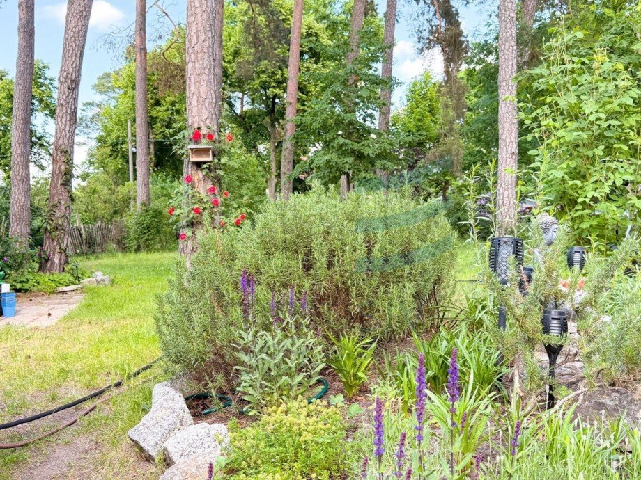 Garten Einfamilienhaus Falkensee