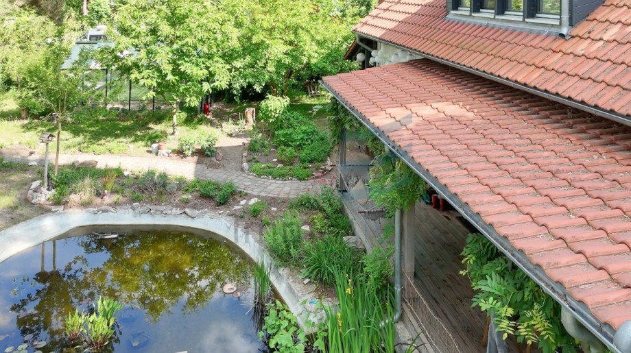 Garten mit Teich Einfamilienhaus Falkensee