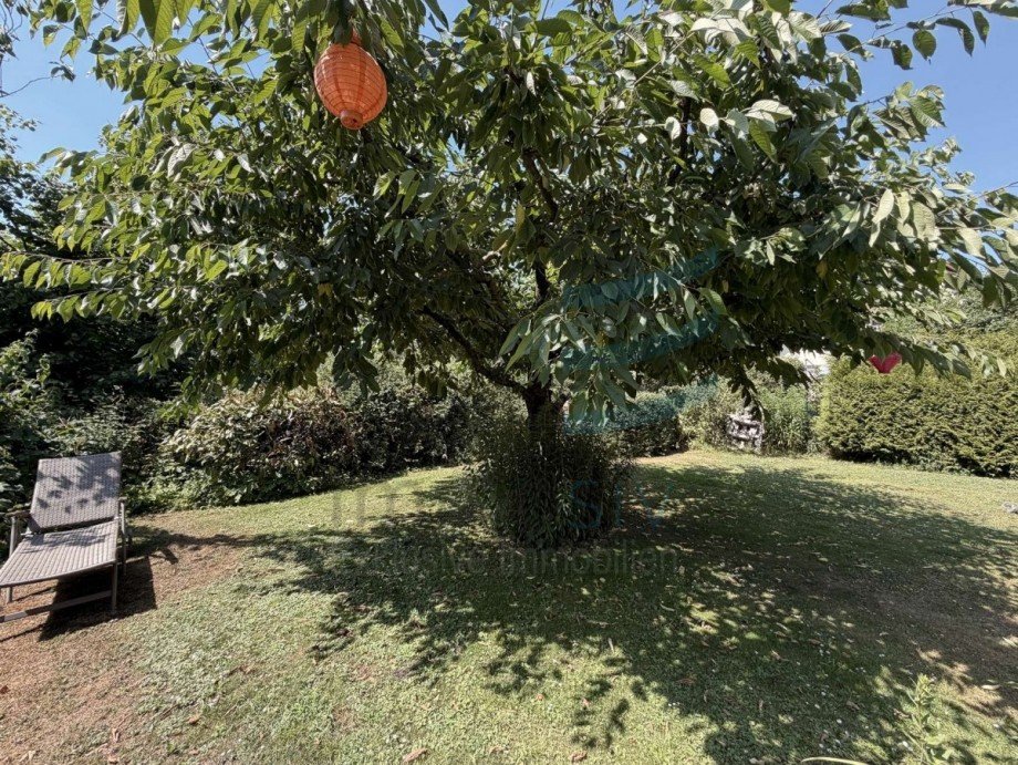 Garten Doppelhaush�lfte Falkensee